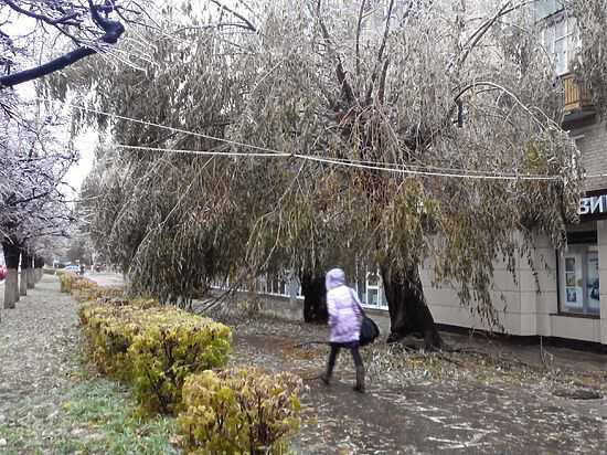 Чебоксары преодолели последствия ледяного дождя