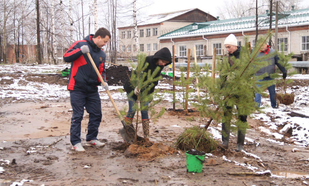 В Краснокамске появилась «Аллея УЗПМ», рис. 3