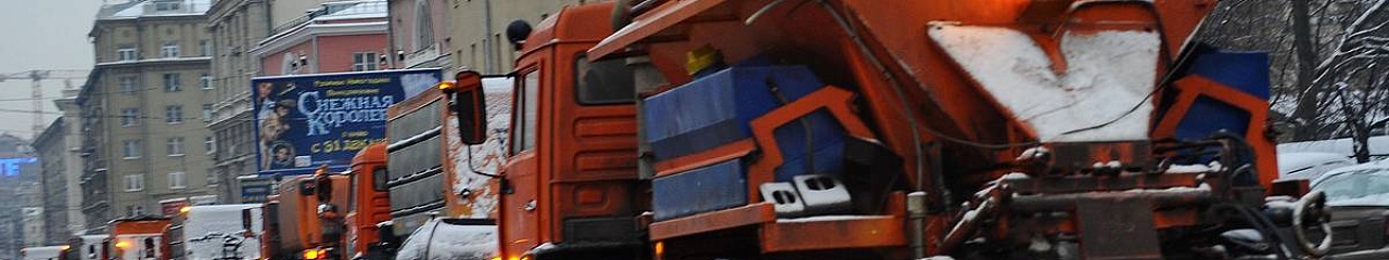 Новосибирск запасается «Бионордом»